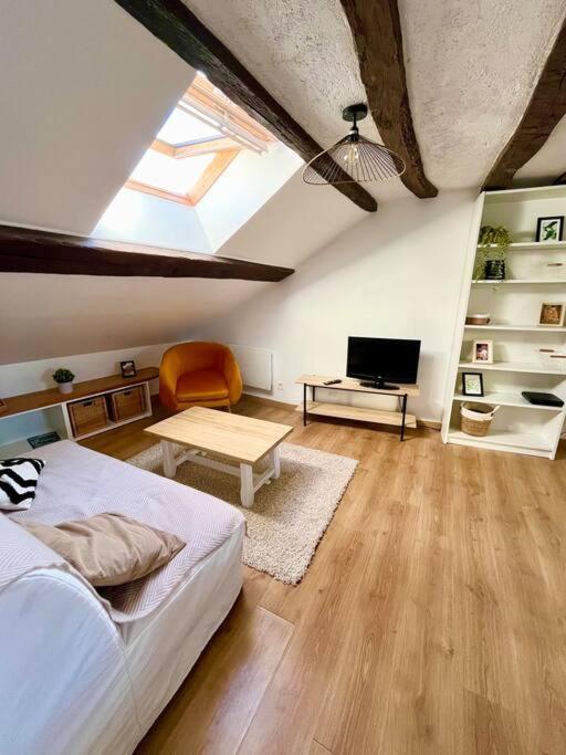 Appartement Cosy Hypercentre Place St Pierre Сомюр Екстер'єр фото