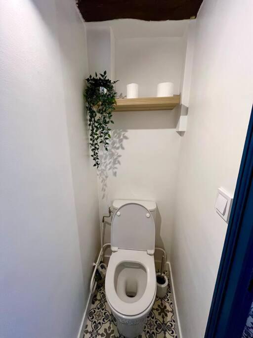 Appartement Cosy Hypercentre Place St Pierre Сомюр Екстер'єр фото